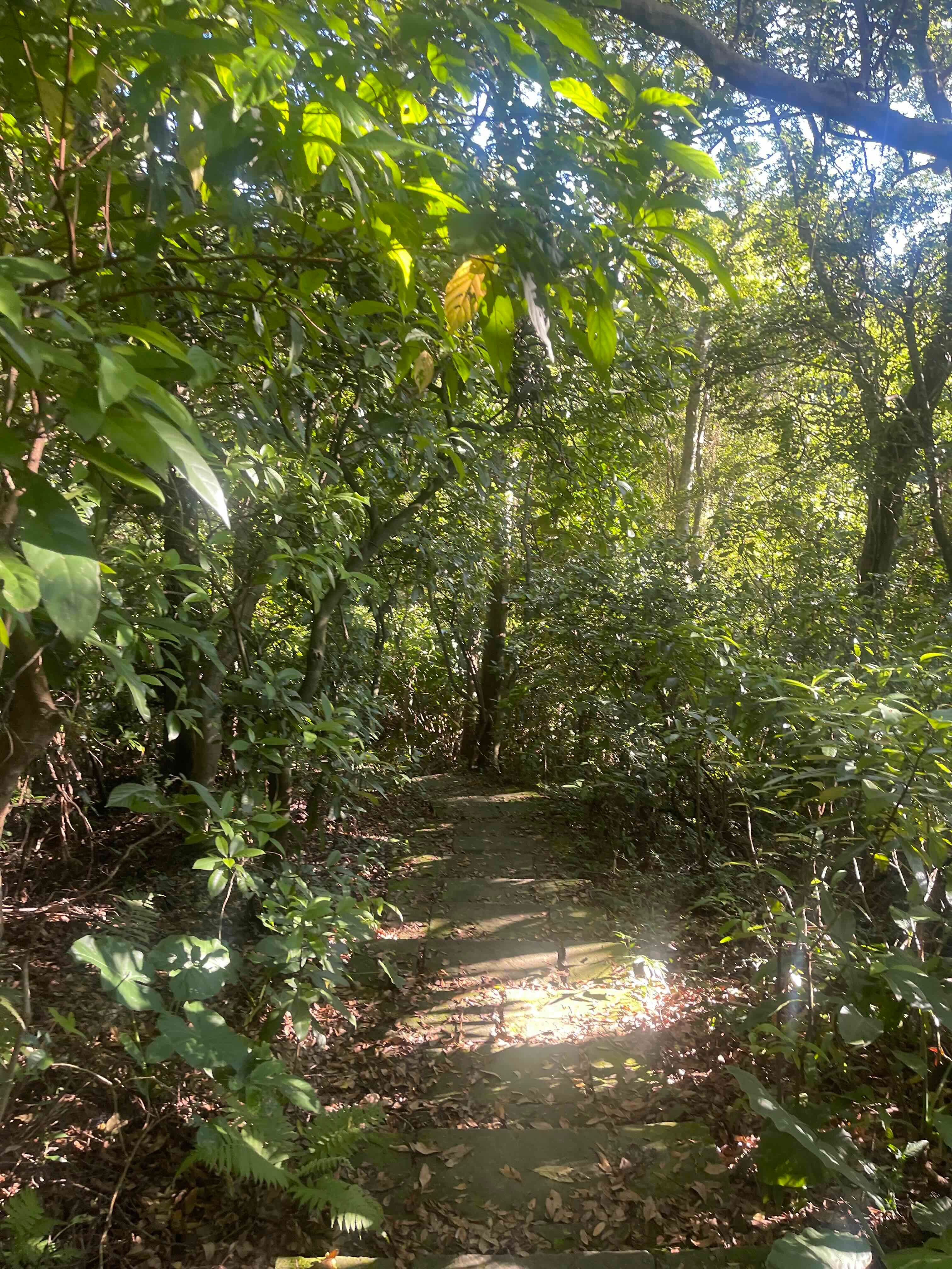 path on Fuzhou Shan