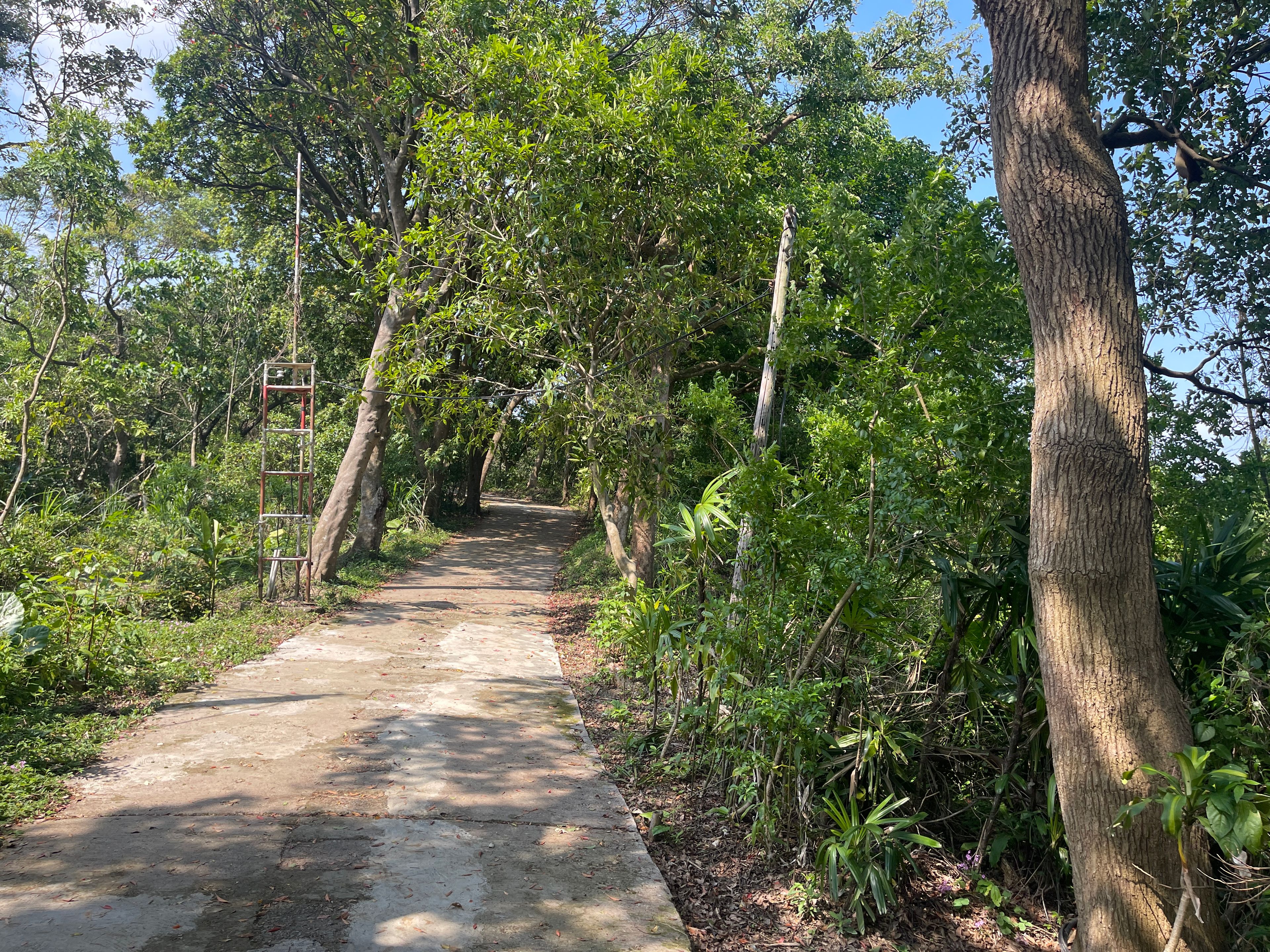 hiking path on the crest of Jiantan hill