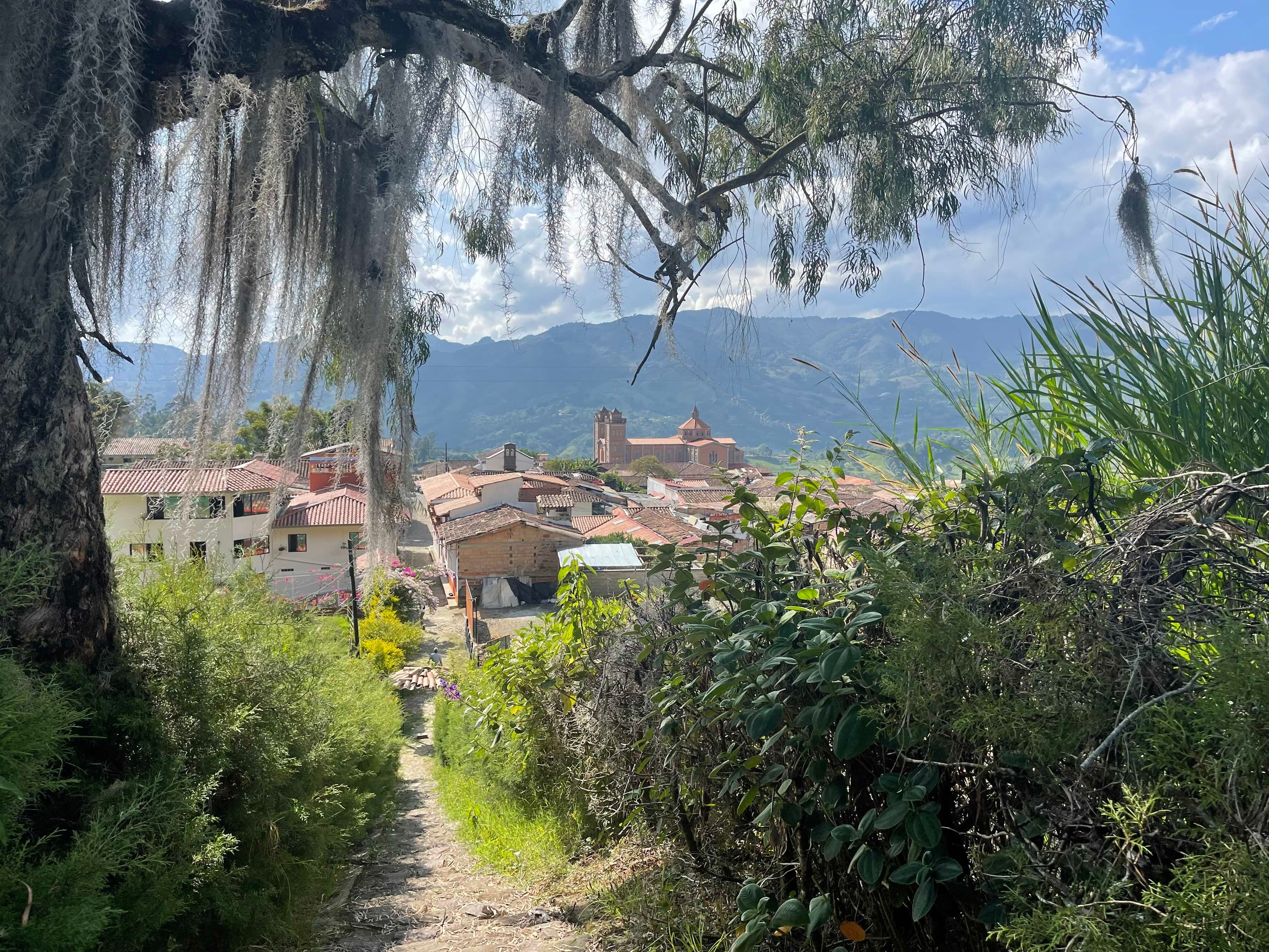 pic from the top hill